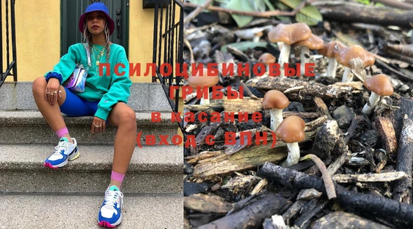a pvp Богородск